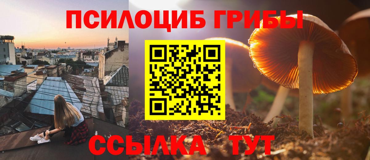 Псилоцибиновые грибы мицелий Кашира
