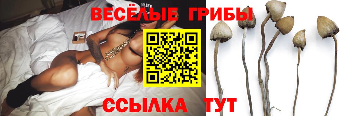 Гашиш  Вход с VPN  МЕТ  Экстази  Alpha PVP СК   Лсд 25  Бошки Шишки  МЕФ   Купить наркотик  Кашира  Вейп ТГК 
